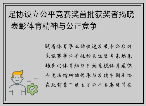 足协设立公平竞赛奖首批获奖者揭晓 表彰体育精神与公正竞争